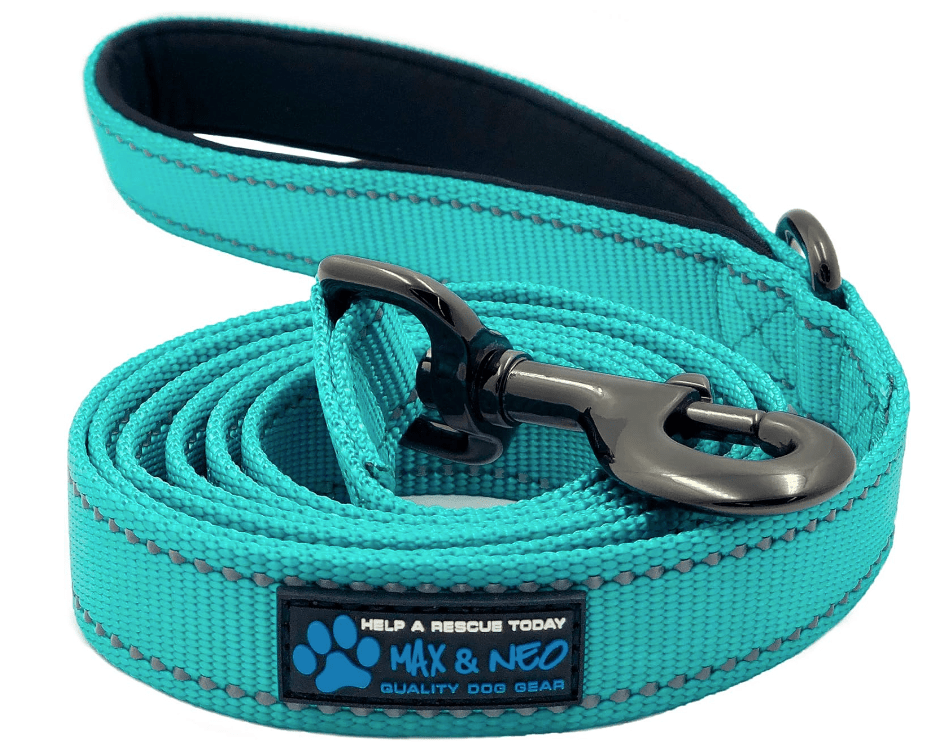 leash for dog